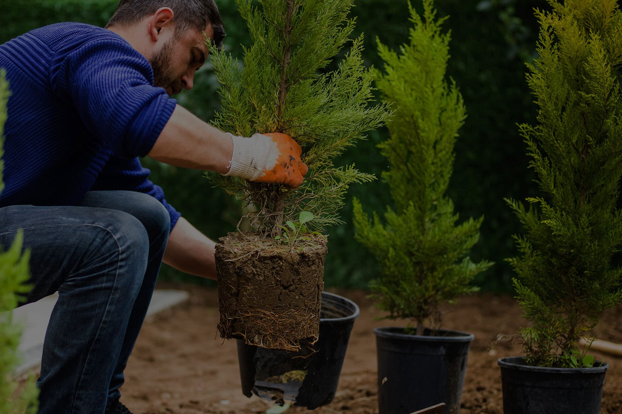 Resiential-and-Commercial-Landscaping-Palm-Beach-County