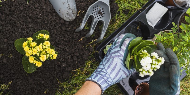 commercial landscaping South Florida business campus