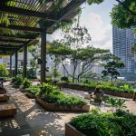 Commercial landscape maintenance in Palm Beach County for office and retail properties